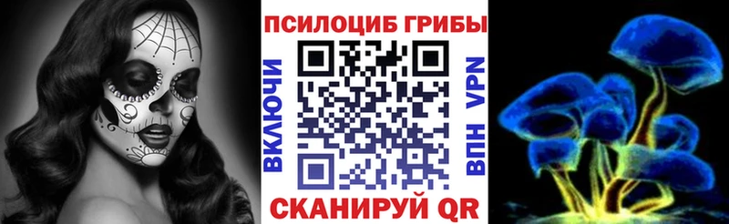 как найти закладки  Западная Двина  Псилоцибиновые грибы ЛСД 
